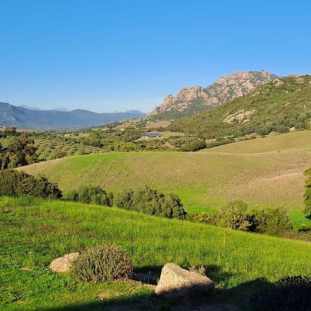 Ferme De Roccapina Bed & Breakfast Sarragia ภายนอก รูปภาพ