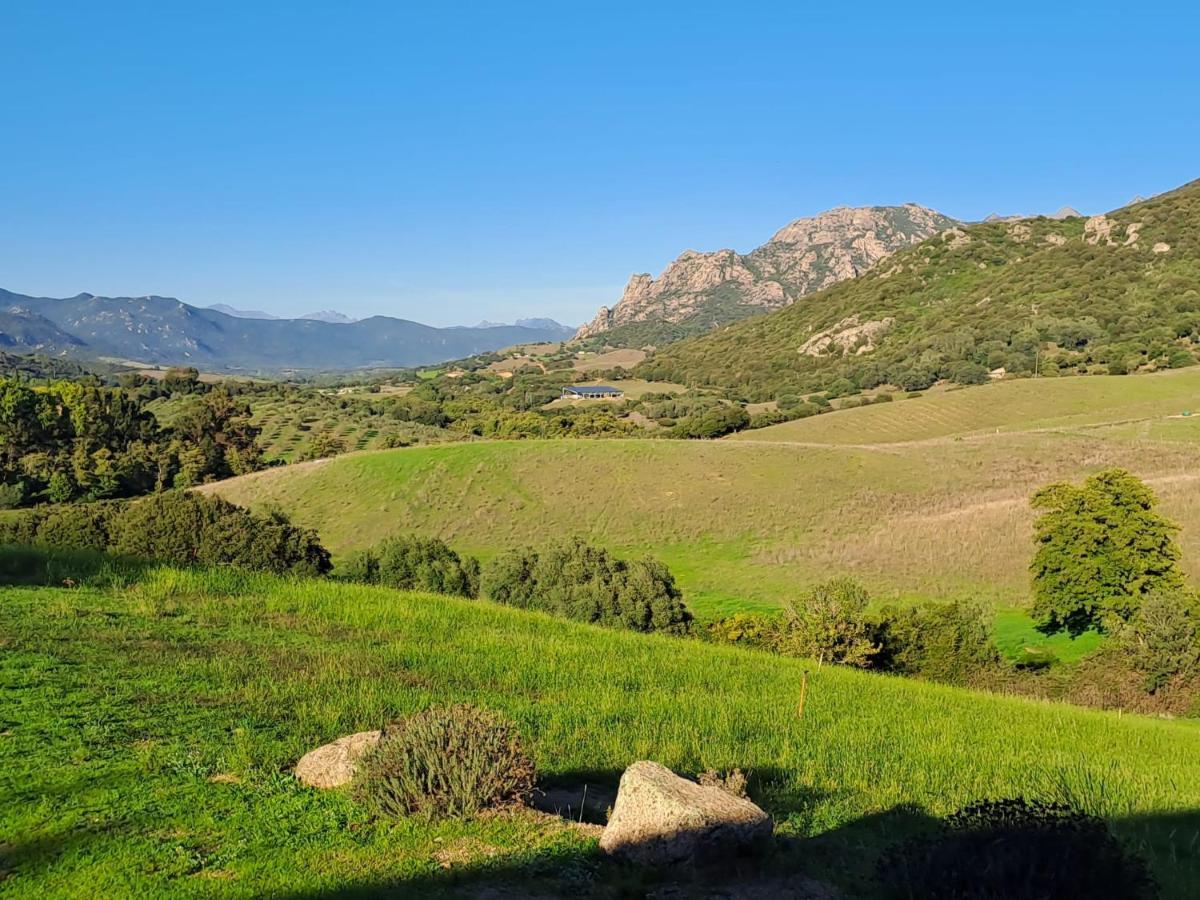 Ferme De Roccapina Bed & Breakfast Sarragia ภายนอก รูปภาพ